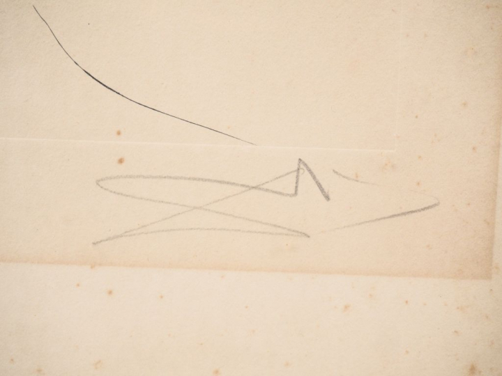 Salvador DALI. Epreuve d'artiste signée en bas à droite. Dim. (à vue) 