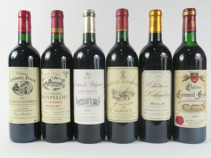 6 BOUTEILLES : 1 CHÂTEAU HAUT BAGES MONPELOU CB PAUILLAC 1998 - 1 DIAN
