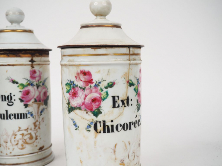 Ensemble de 19 pots de pharmacie XIXème en porcelaine à décor de roses