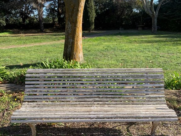 Paire de bancs de jardin 1900 en bois et fer forgé.