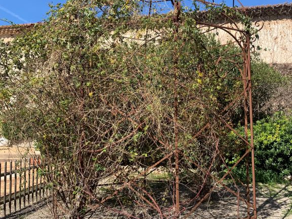 Une gloriette ancienne en fer forgé.