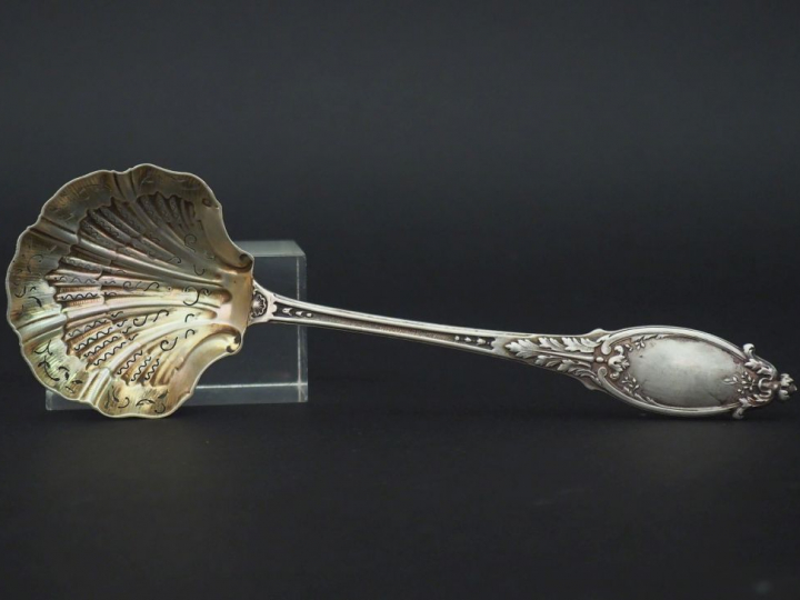 Cuillère à saupoudrer en argent 925, poinçon Minerve, modèle feuillagé