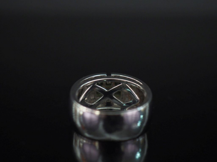 Bague moderne en or blanc 750, sertie en son centre de six pierres ver