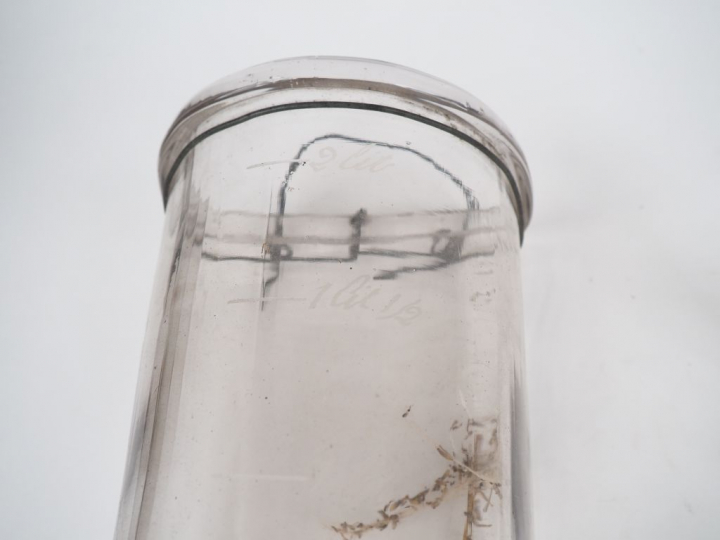Grand réservoir XIXème en verre soufflé.  H. 33,5 cm Abreuvoir à oisea
