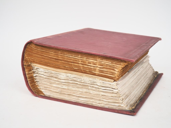 [ALPES]. HELBRONNER (Paul). DESCRIPTION GÉOMÉTRIQUE DÉTAILLÉE DES ALPE