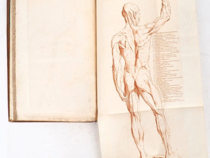 AUDRAN (Girard). LES PROPORTIONS DU CORPS HUMAIN, mesurées sur les plu