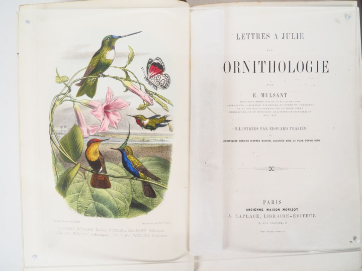 [BUFFON]. GALERIE D’HISTOIRE NATURELLE. P., Garnier frères, Grand in-8