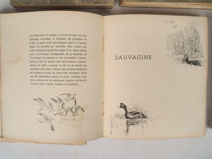 [CHASSE]. WITT (J. de). Chasses de Brière (1935). E.A.S. Rouss. au dos