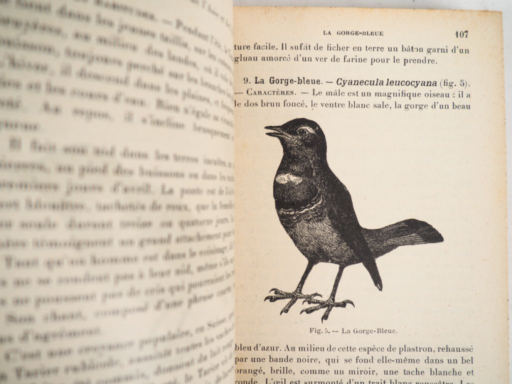 [CHASSE - OISEAUX]. BIBLIOTHÈQUE DES CONNAISSANCES UTILES. 4 volumes i