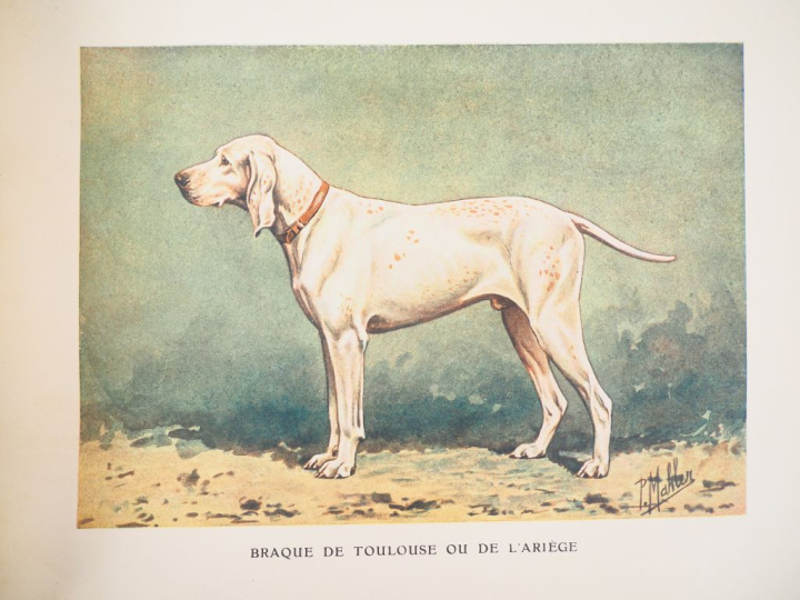 [CHASSE - CHIEN]. BOISROT DE LACOUR (Comte). TRAITÉ DE L’ART DE CHASSE