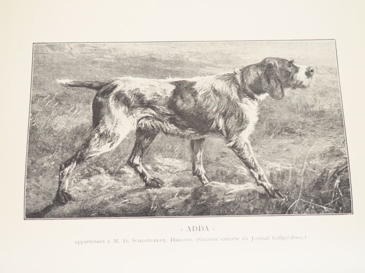 [CHASSE - CHIEN]. BYLANDT (Comte H. de). LES RACES DE CHIEN. Bruxelles