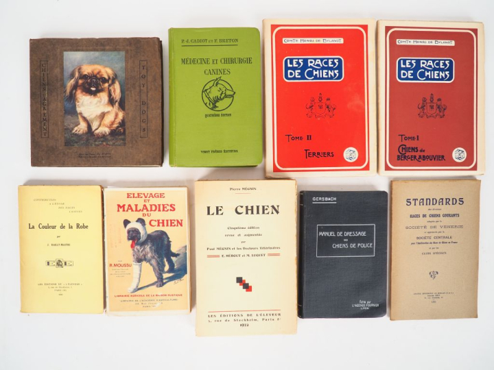[CHASSE - CHIEN]. Standards des diverses races de chiens courants adop
