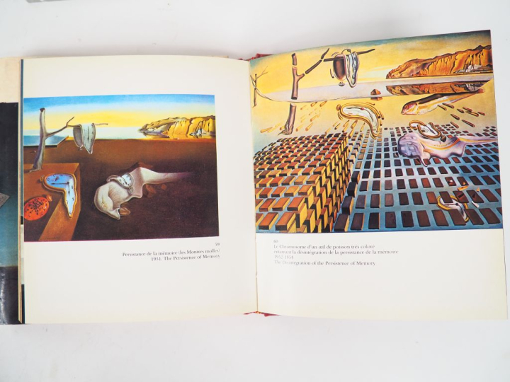 [DALI]. DOPAGNE (J.). DALI. P., Hazan, 1974. Petit in-8 carré toile de