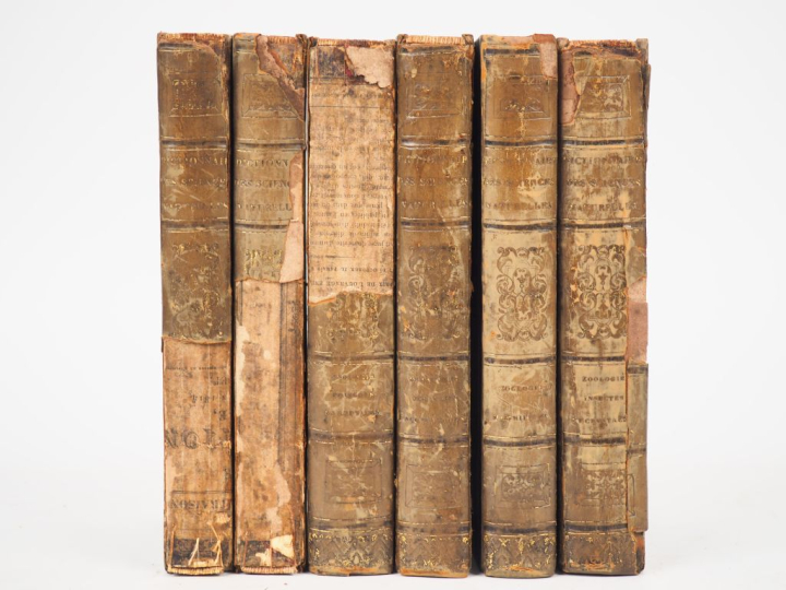 DICTIONNAIRE DES SCIENCES NATURELLES. 2ème partie : règne organisé. PL