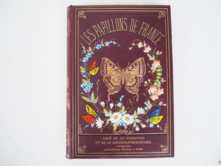 [FISCHBACH (G.)]. LES PAPILLONS DE FRANCE. P., Rothschild, 1880. In-8 