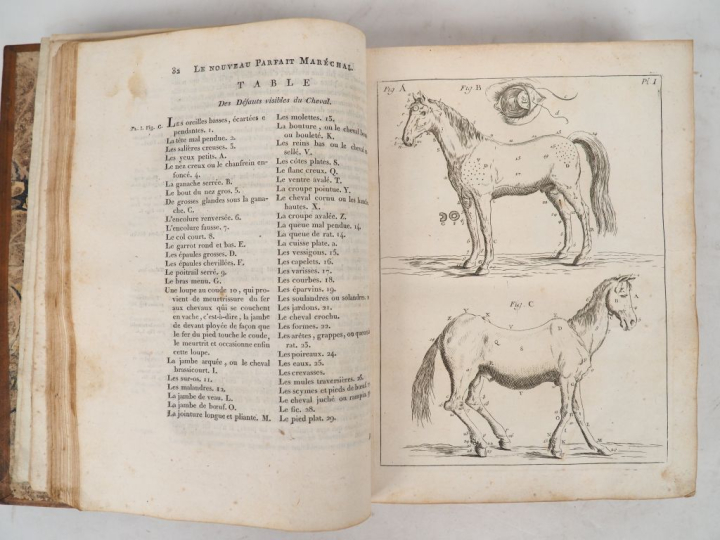 GARSAULT (Fr.-A. de). LE NOUVEAU PARFAIT MARÉCHAL ou La connoissance g