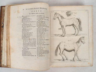 Vente aux enchères GARSAULT (Fr.-A. de). LE NOUVEAU PARFAIT MARÉCHAL ou La connoissance g