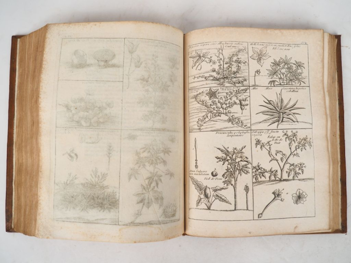 GARSAULT (Fr.-A. de). LE NOUVEAU PARFAIT MARÉCHAL ou La connoissance g