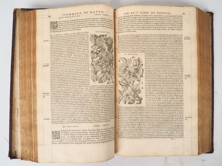 [MATTIOLI]. COMMENTAIRES DE M. PIERRE ANDRE MATTHIOLE médecin Senois, 