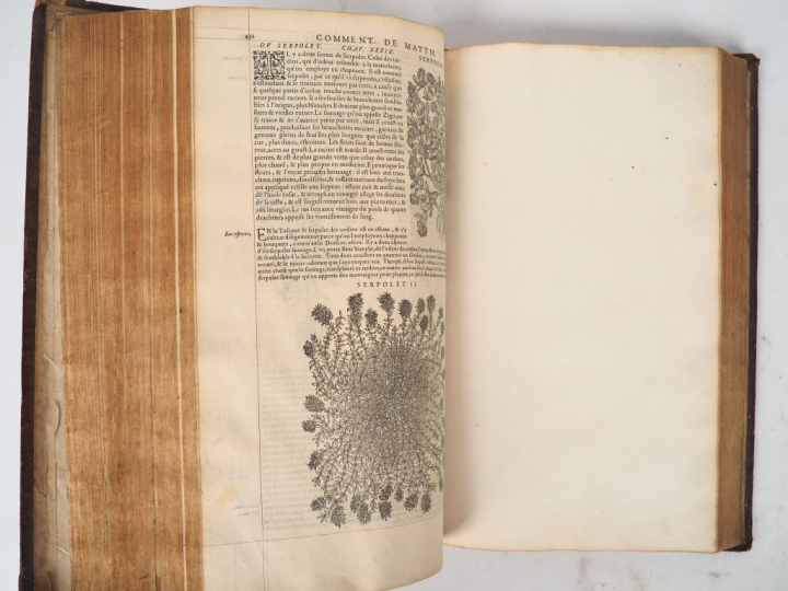[MATTIOLI]. COMMENTAIRES DE M. PIERRE ANDRE MATTHIOLE médecin Senois, 