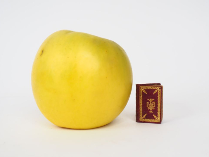 [MINUSCULE]. L’EMPLOI DU TEMPS. Étrennes Enfantines pour l’An 1814. Pa