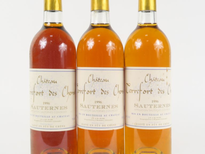 3 BOUTEILLES CHÂTEAU TERREFORT DES CHONS SAUTERNES - 1996