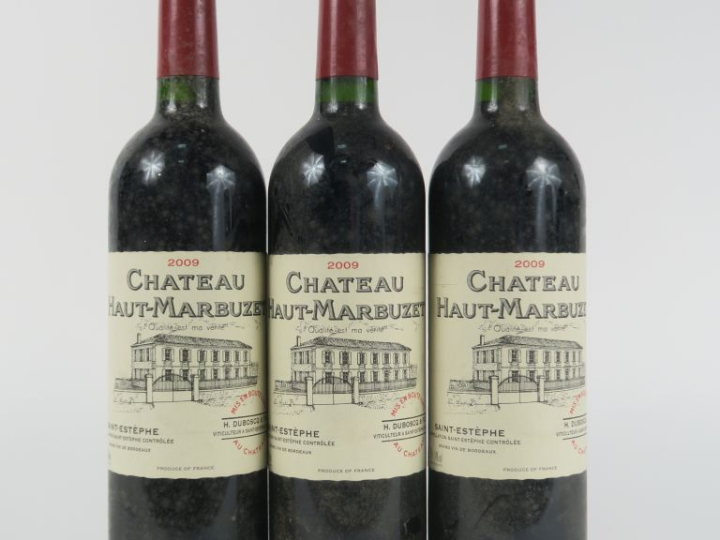 3 BOUTEILLES CHÂTEAU HAUT MARBUZET ST ESTEPHE - 2009