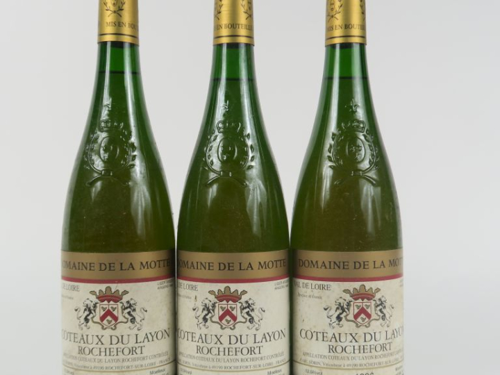 3 BOUTEILLES COTEAUX DU LAYON 'ROCHEFORT' DOMAINE DE LA MOTTE - 1996