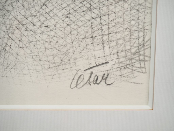 CESAR. "Hommage à Marie Curie". Lithographie en couleur contresignée e