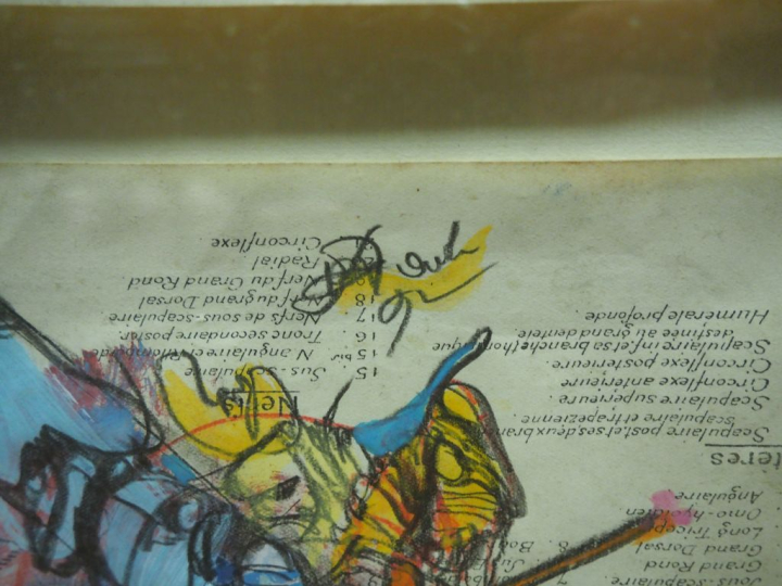 DADO. "Planches d'anatomie". Encadrement de 9 planches d'anatomie reha