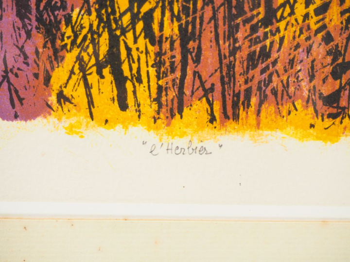 Maurice Elie SARTHOU. "Herbier". Lithographie en couleur, contresignée