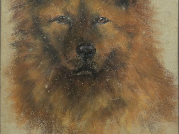 Ecole française XXme. "Portrait de chien". Dessin,signé M.S.P en bas à