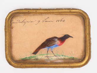 Vente aux enchères Petit encadrement XIXème en plume, "échassier". Signé et situé à Guada