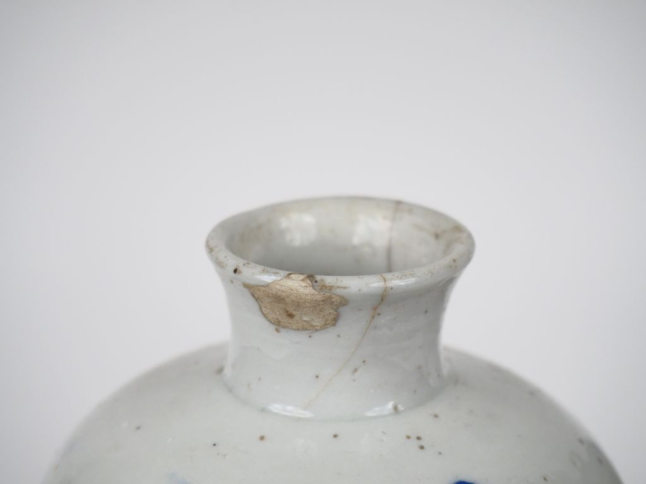 Chine XIXème. Paire de vases formant pendant de forme oblongue en porc
