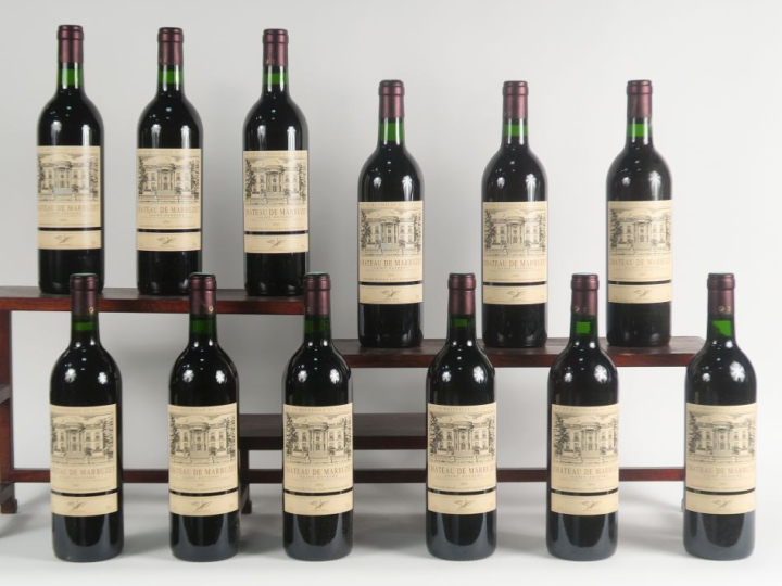 12 BOUTEILLES CHÂTEAU DE MARBUZET ST ESTEPHE - 1991 - CBO