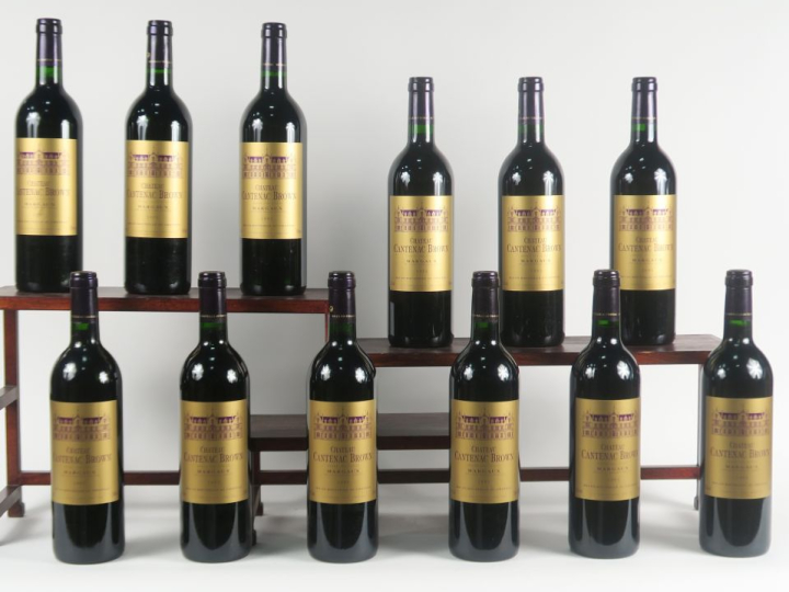 12 BOUTEILLES CHÂTEAU CANTENAC BROWN GCC MARGAUX - 1995 - CBO