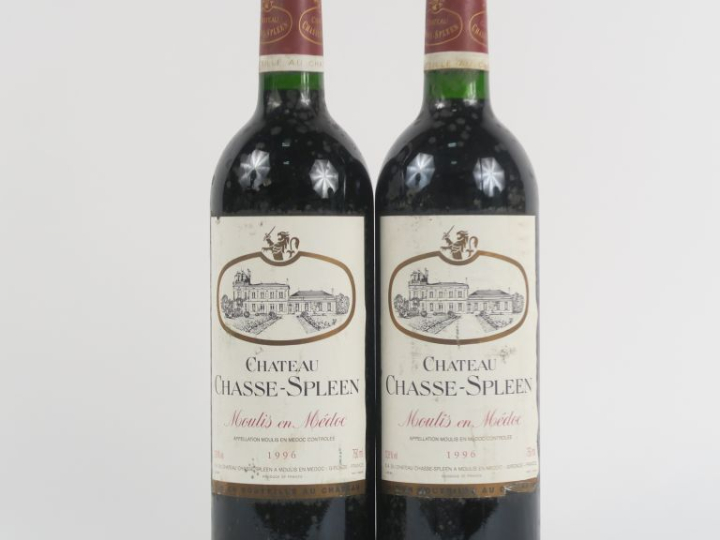 2 BOUTEILLES CHÂTEAU CHASSE SPLEEN MOULIS - 1996