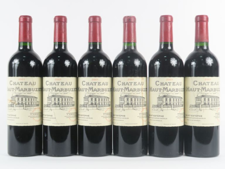 6 BOUTEILLES CHÂTEAU HAUT MARBUZET ST ESTEPHE - 2001