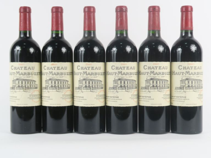 6 BOUTEILLES CHÂTEAU HAUT MARBUZET ST ESTÈPHE - 2001