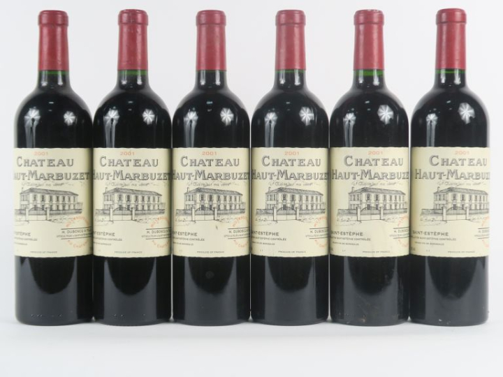 6 BOUTEILLES CHÂTEAU HAUT MARBUZET ST ESTEPHE - 2001