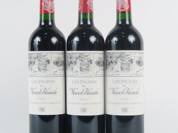 3 BOUTEILLES LES PILIERS DE MAISON BLANCHE MONTAGNE ST EMILION -  2005