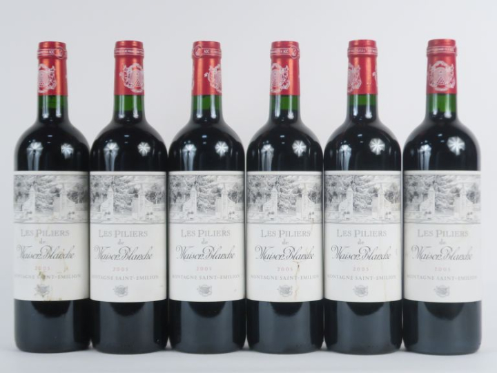 6 BOUTEILLES LES PILIERS DE MAISON BLANCHE MONTAGNE ST EMILION - 2005