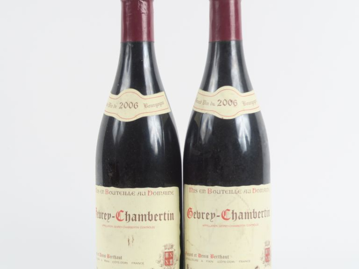 2 BOUTEILLES GEVREY CHAMBERTIN BERTHAUT - 2006