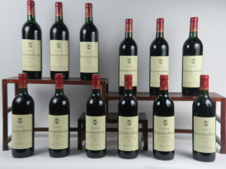 12 BOUTEILLES CHÂTEAU BRANAS GRAND POUJEAUX MOULIS - 1987 - CBO - BG à