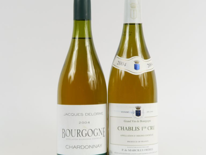 2 BOUTEILLES de 2004 : 1 BOURGOGNE JACQUES DELORME - 1 CHABLIS 1er CRU