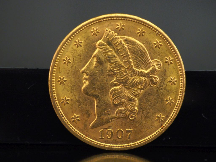 Pièce de 20 Dollars or, 1907. FRAIS ACHETEURS 5% TTC.   