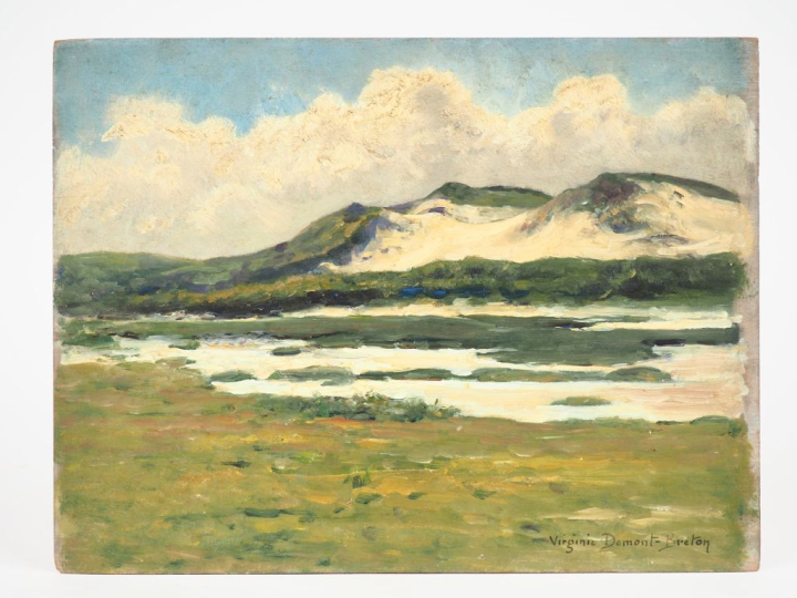 Virginie DEMONT-BRETON. "Le communal de Wissant inondé".  Huile sur pa