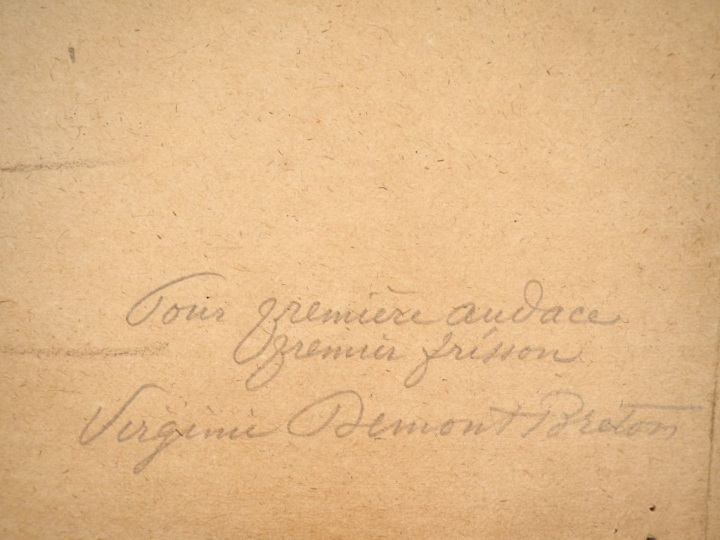 Virginie DEMONT-BRETON. "Pour première audace, premier frisson".  Cray