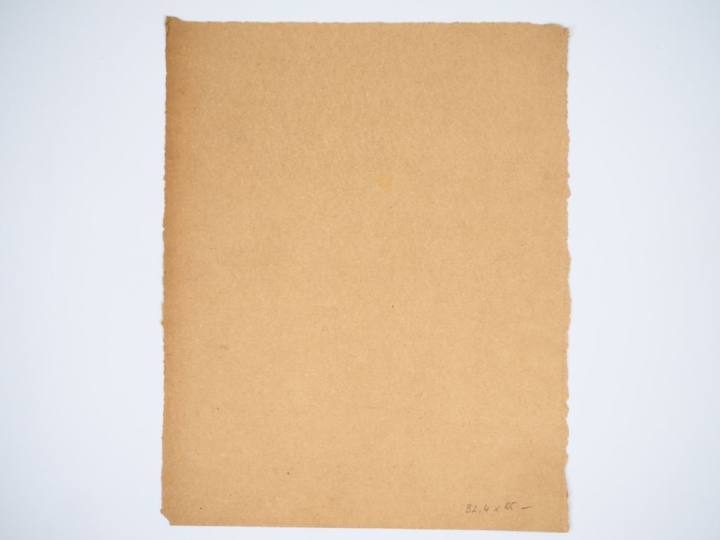 Virginie DEMONT-BRETON Deux "Etudes pour les jumeaux".  Paire de crayo
