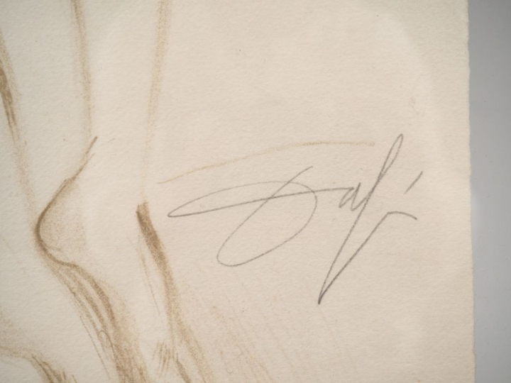 Salvador DALI.  "Jeune femme nue". Lithographie signée en bas à droite
